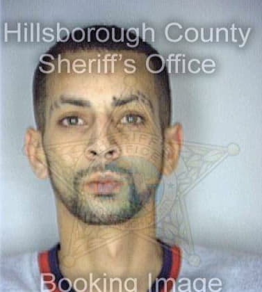 Gonzalez William - Hillsborough County, FL 