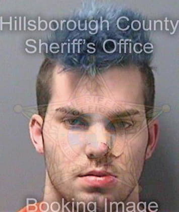 Johnson Devin - Hillsborough County, FL 