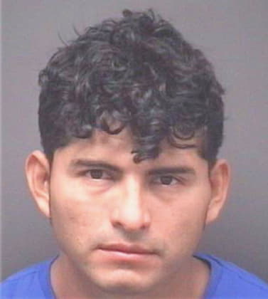 Frias-Hernandez Jesus - Pitt County, NC 