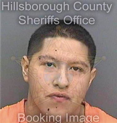 Ramoscasterjon Juan - Hillsborough County, FL 