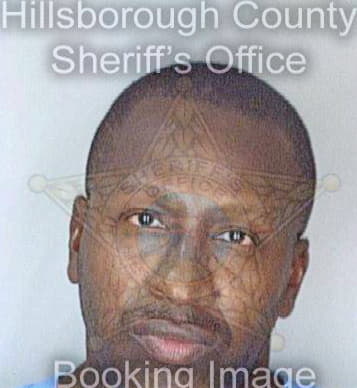 Smith Alvin - Hillsborough County, FL 