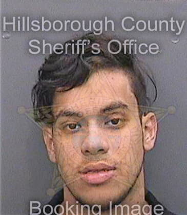 Gonzaleztinoco Sebastian - Hillsborough County, FL 