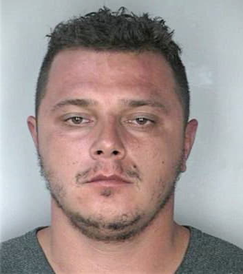 Mechlinski Jaroslaw - Hillsborough County, FL 