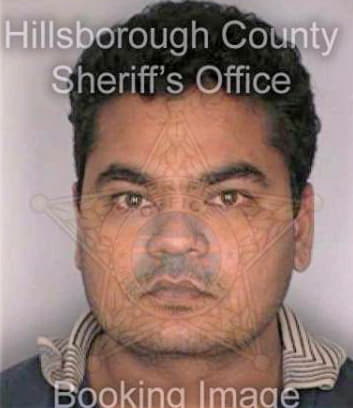 Patel Hetalkumar - Hillsborough County, FL 