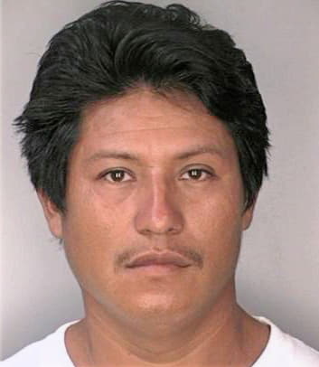 Gonzalez Ismael - Hillsborough County, FL 