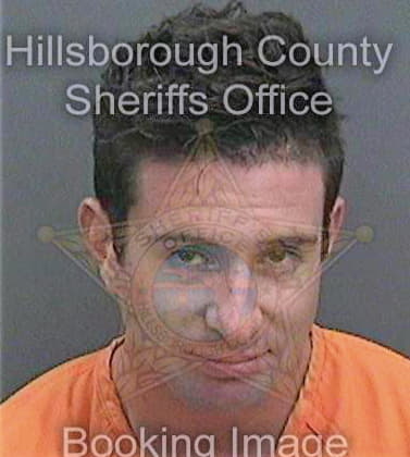 Saulnier Nicholas - Hillsborough County, FL 