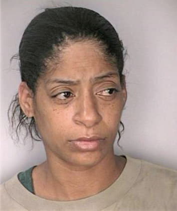 Blount Elaine - Hillsborough County, FL 