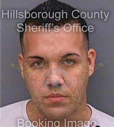 Reyesgonzalez Leroy - Hillsborough County, FL 