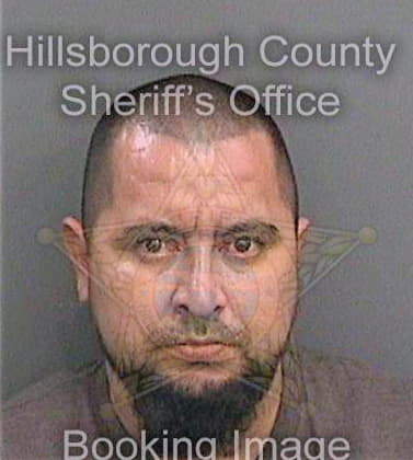 Fernandeztecalco Felipe - Hillsborough County, FL 