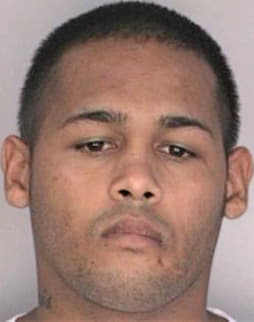 Borrero Alberto - Hillsborough County, FL 