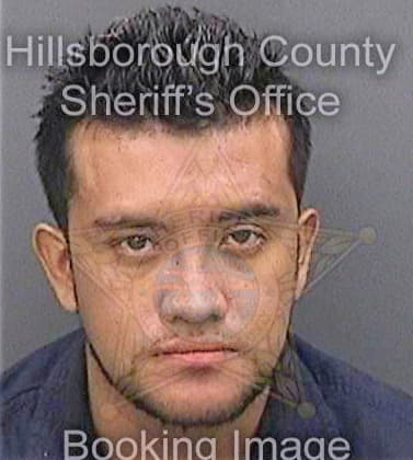 Leongaravito Jhon - Hillsborough County, FL 