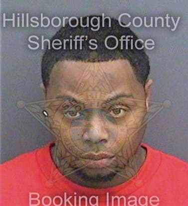 Davis Anthony - Hillsborough County, FL 