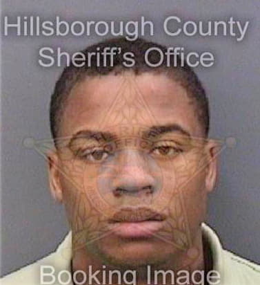 Patterson Charles - Hillsborough County, FL 