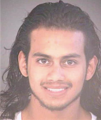 Medinarodriguez Nelson - Hillsborough County, FL 