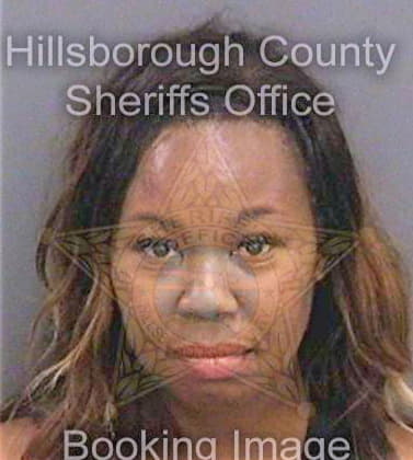 Mcdonald Rosa - Hillsborough County, FL 