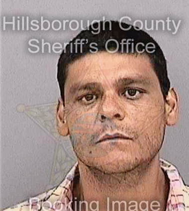 Hernandez Alberto - Hillsborough County, FL 