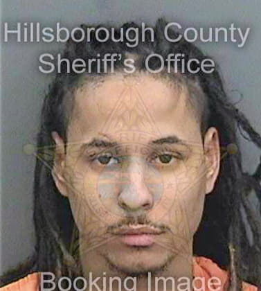 Tineo Edwin - Hillsborough County, FL 