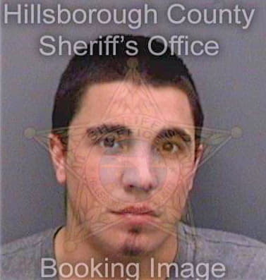 Bower Jacob - Hillsborough County, FL 
