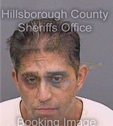 Stevenson Paul - Hillsborough County, FL 