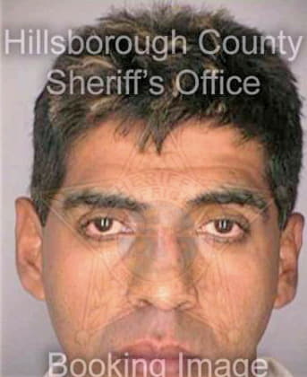 Bracamonte Cesar - Hillsborough County, FL 
