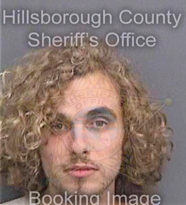 Johnston David - Hillsborough County, FL 