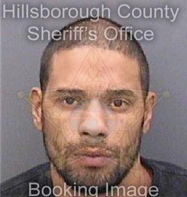 Boffil Anthony - Hillsborough County, FL 