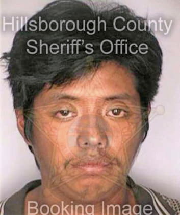 Perez Armando - Hillsborough County, FL 