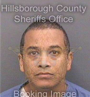 Miles Rene - Hillsborough County, FL 