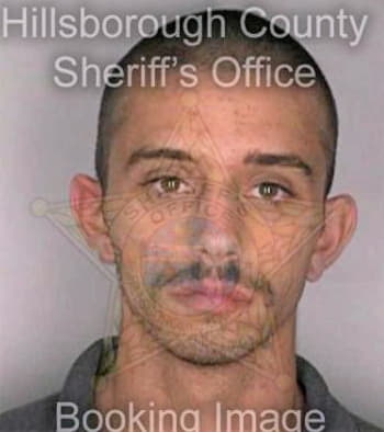Smith Calvin - Hillsborough County, FL 