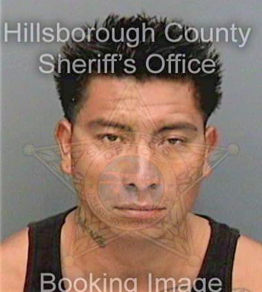 Mendezguzman Alejandro - Hillsborough County, FL 