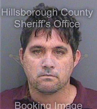 Violate Christopher - Hillsborough County, FL 