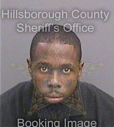 Lett David - Hillsborough County, FL 