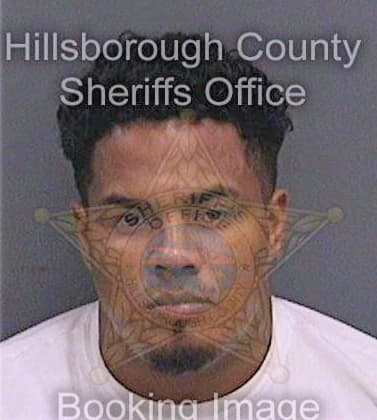 Carcamoalmendarez Ramon - Hillsborough County, FL 