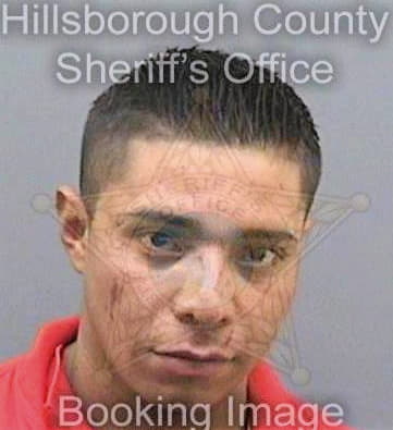 Martinez Celio - Hillsborough County, FL 