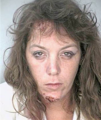 Mcelwee Leigh - Hillsborough County, FL 