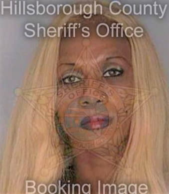 Mcmiller Vincent - Hillsborough County, FL 