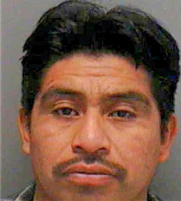 Sebastian Juan - Lee County, FL 