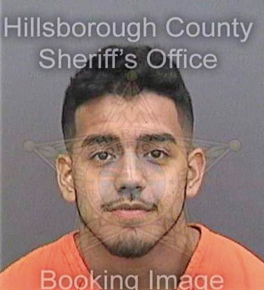 Manriquez Bryan - Hillsborough County, FL 