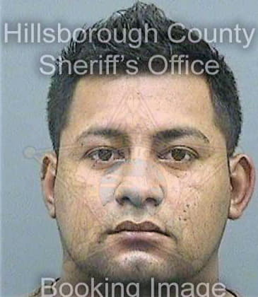 Perezchavez Victor - Hillsborough County, FL 