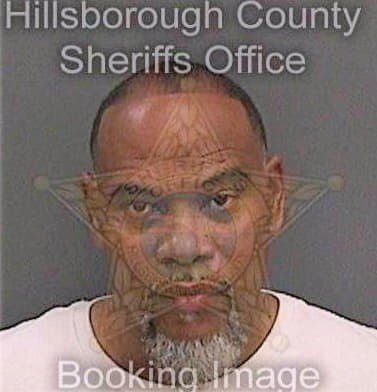 Timmons Derrick - Hillsborough County, FL 