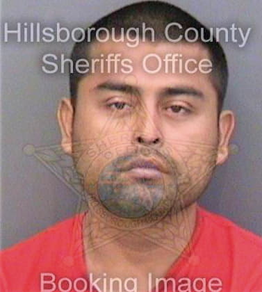 Velascoarcos Juan - Hillsborough County, FL 