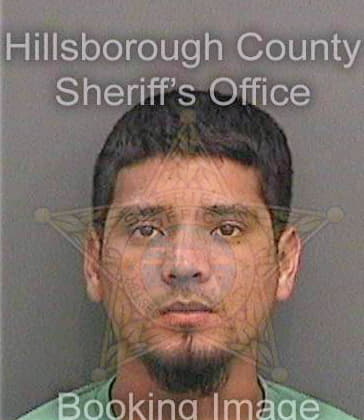 Cascocalix Diego - Hillsborough County, FL 