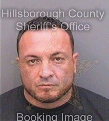 Lopez Luis - Hillsborough County, FL 