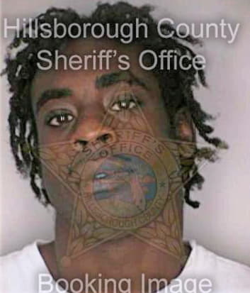 Smith Darrian - Hillsborough County, FL 