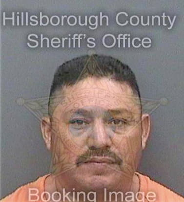 Basurtomonroy Miguel - Hillsborough County, FL 