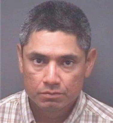 Botello Raudel - Pitt County, NC 