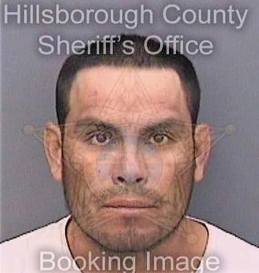 Diazramirez Victor - Hillsborough County, FL 