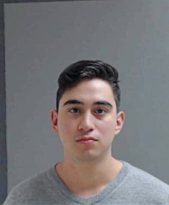 Villarreal Alfredo - Hidalgo County, TX 