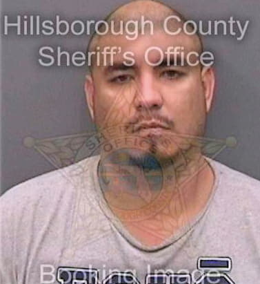 Conde David - Hillsborough County, FL 