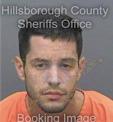 Walsh Dillon - Hillsborough County, FL 